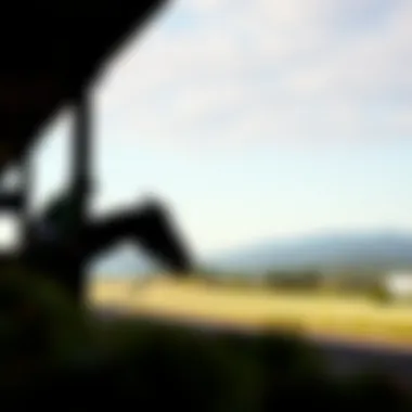 Preparation of a Competitor Against a Scenic Backdrop A serene image of a horse preparing for a race against a scenic backdrop