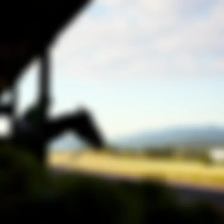 Preparation of a Competitor Against a Scenic Backdrop A serene image of a horse preparing for a race against a scenic backdrop