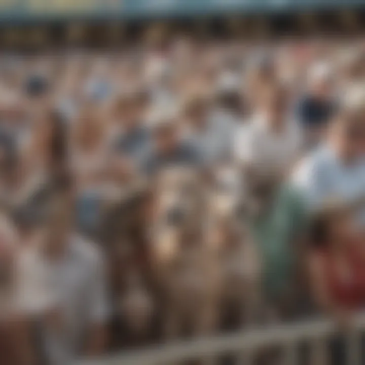 A group of spectators enjoying greyhound races