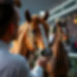 Historical overview of horse racing betting